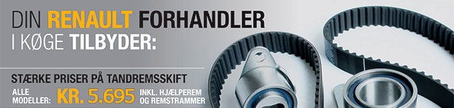 tandremrenaultny1