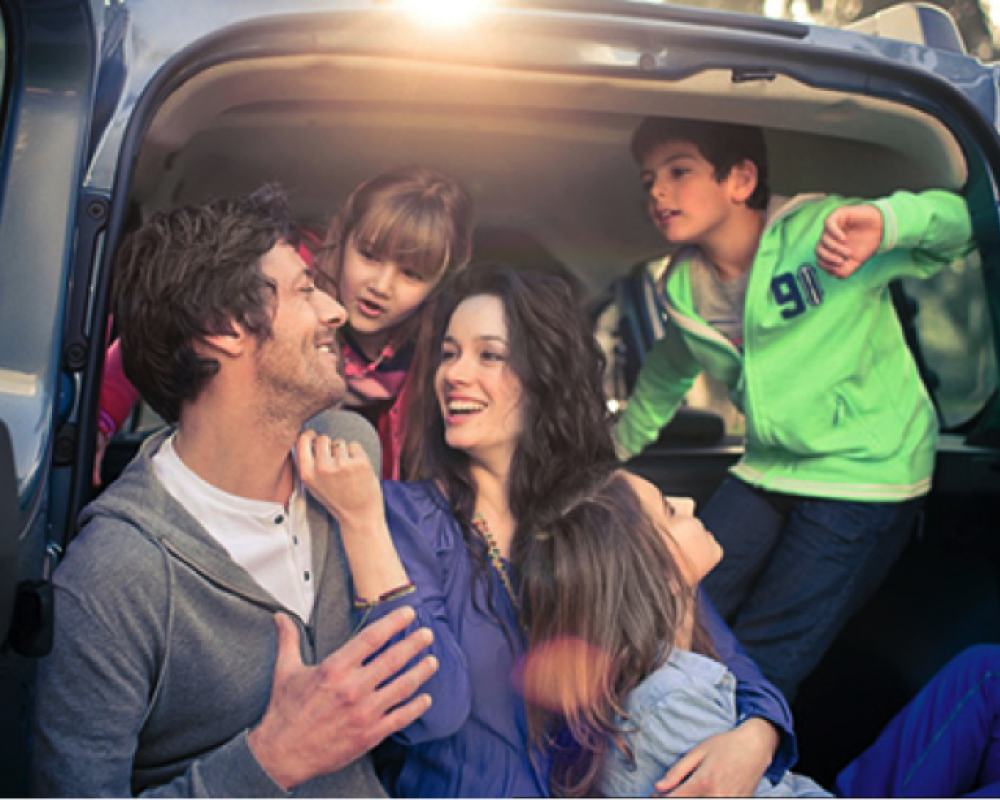 Dacia Assistance/Vejhjælp